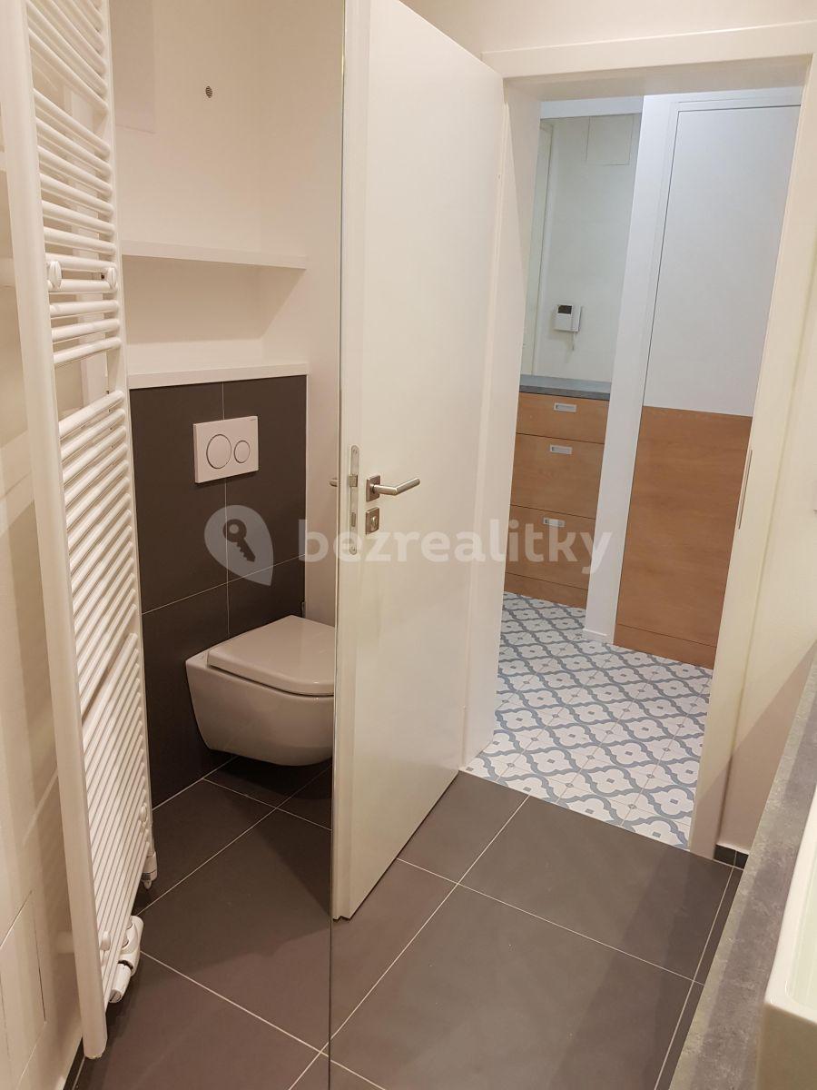 1 bedroom with open-plan kitchen flat to rent, 47 m², Pobřežní, Prague, Prague