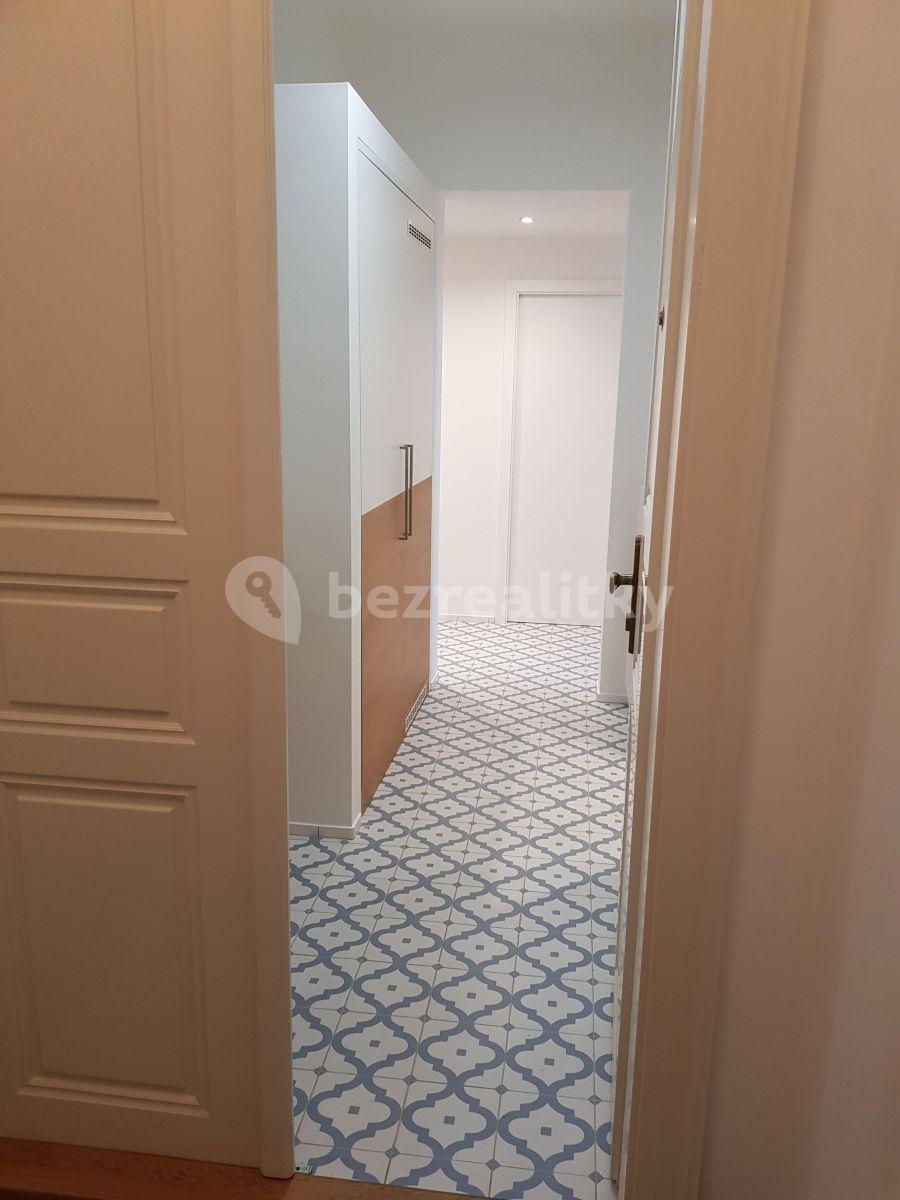 1 bedroom with open-plan kitchen flat to rent, 47 m², Pobřežní, Prague, Prague