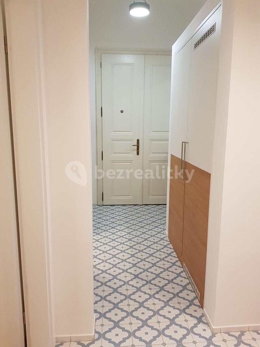 1 bedroom with open-plan kitchen flat to rent, 47 m², Pobřežní, Prague, Prague