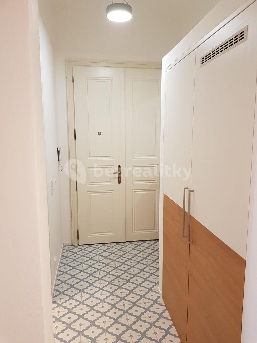 1 bedroom with open-plan kitchen flat to rent, 47 m², Pobřežní, Prague, Prague