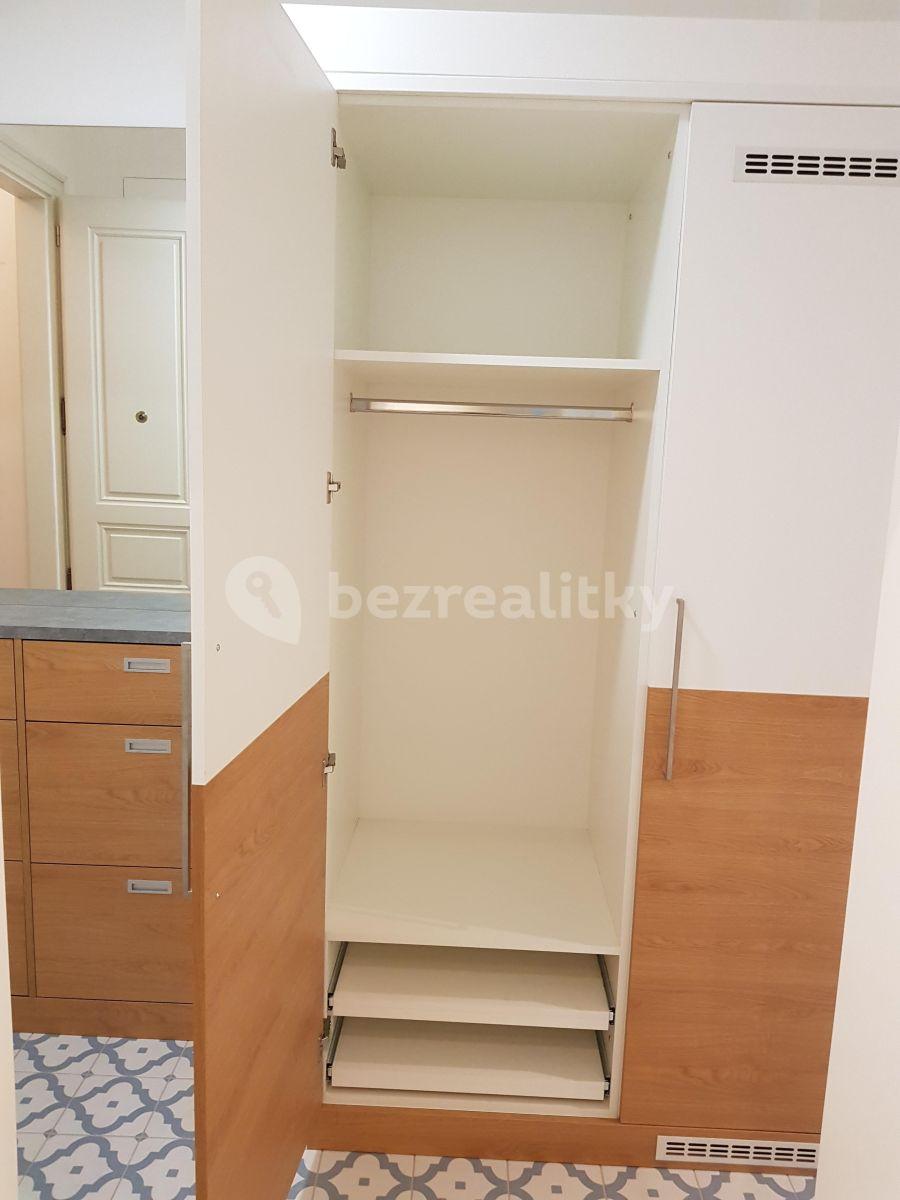 1 bedroom with open-plan kitchen flat to rent, 47 m², Pobřežní, Prague, Prague