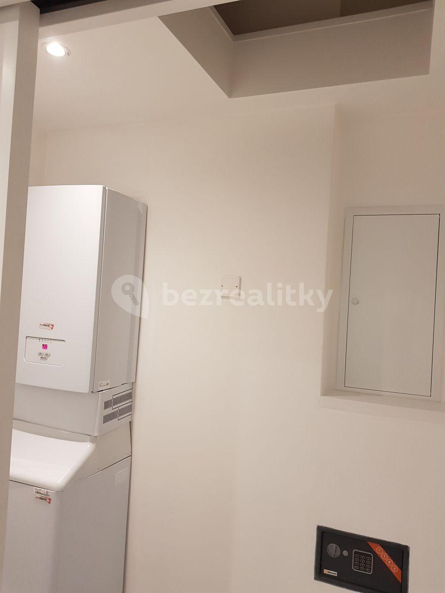 1 bedroom with open-plan kitchen flat to rent, 47 m², Pobřežní, Prague, Prague