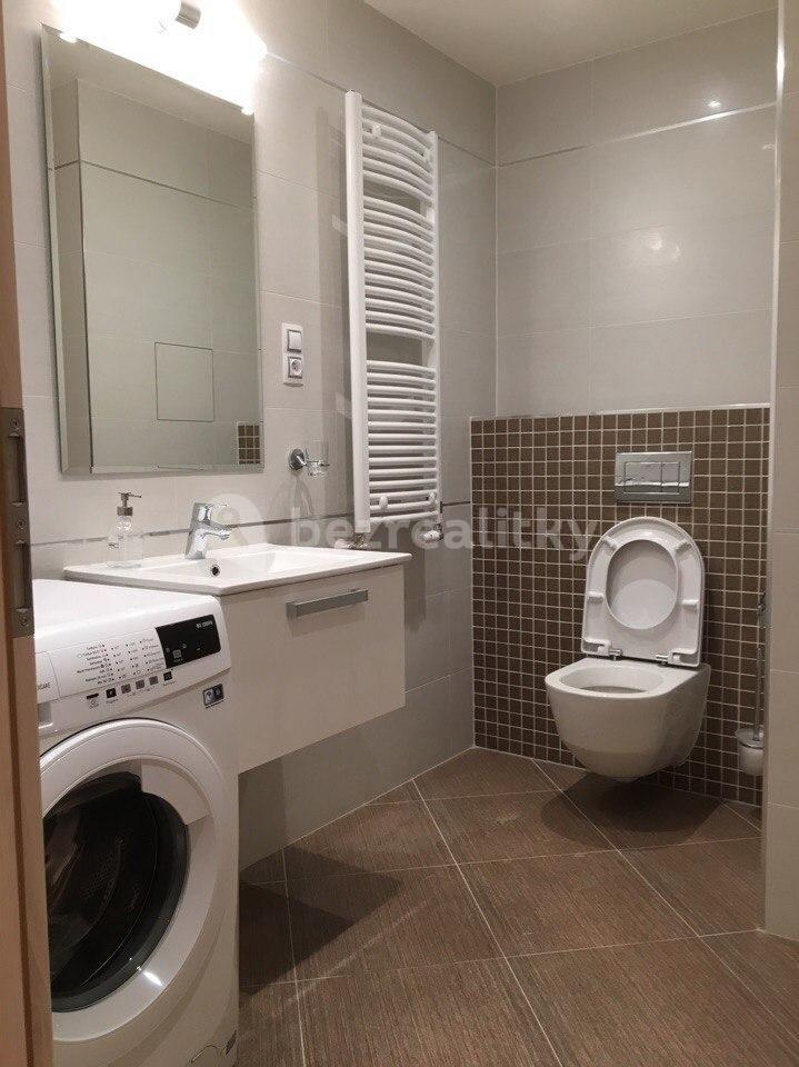 1 bedroom with open-plan kitchen flat to rent, 70 m², Olšanská, Prague, Prague