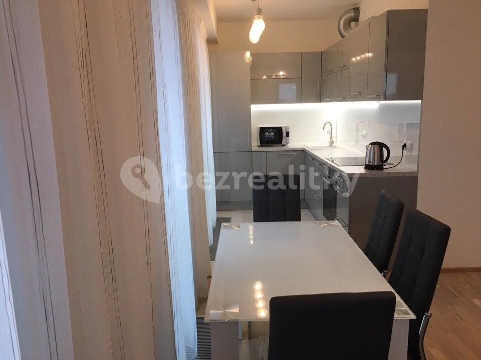 1 bedroom with open-plan kitchen flat to rent, 70 m², Olšanská, Prague, Prague