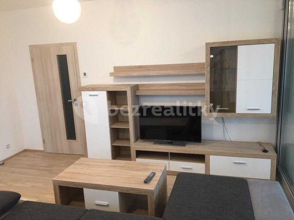 1 bedroom with open-plan kitchen flat to rent, 70 m², Olšanská, Prague, Prague