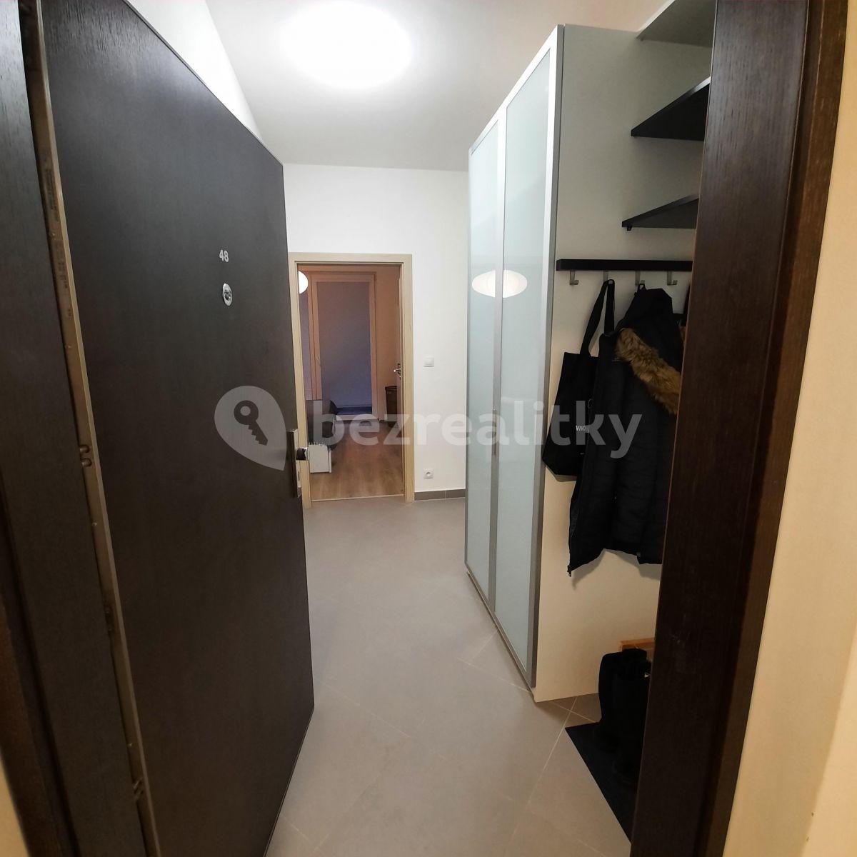 1 bedroom with open-plan kitchen flat to rent, 57 m², Sazovická, Prague, Prague