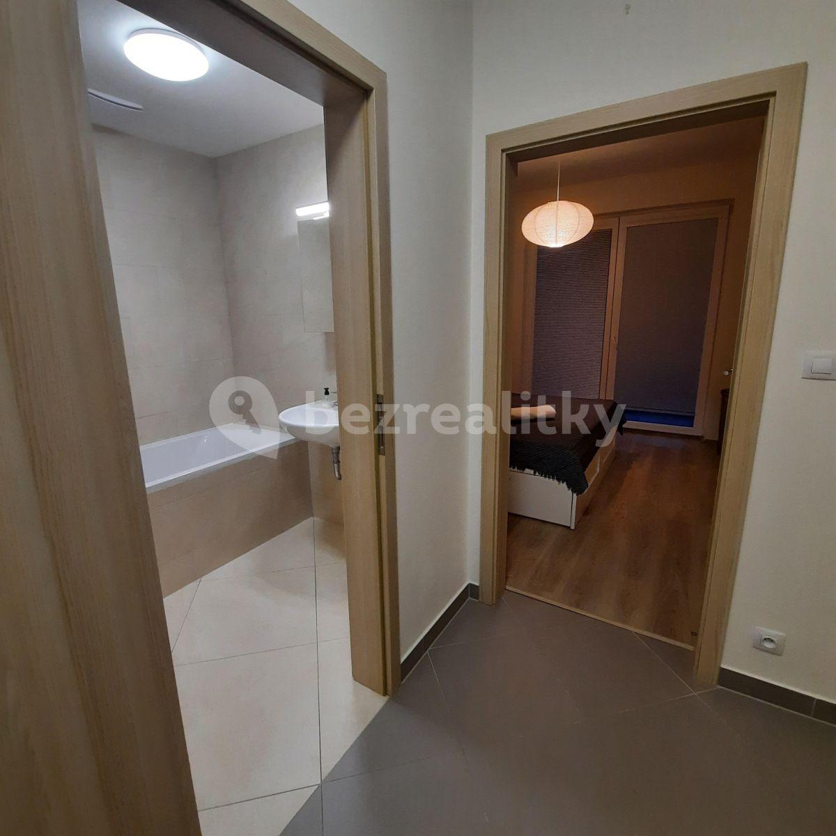 1 bedroom with open-plan kitchen flat to rent, 57 m², Sazovická, Prague, Prague