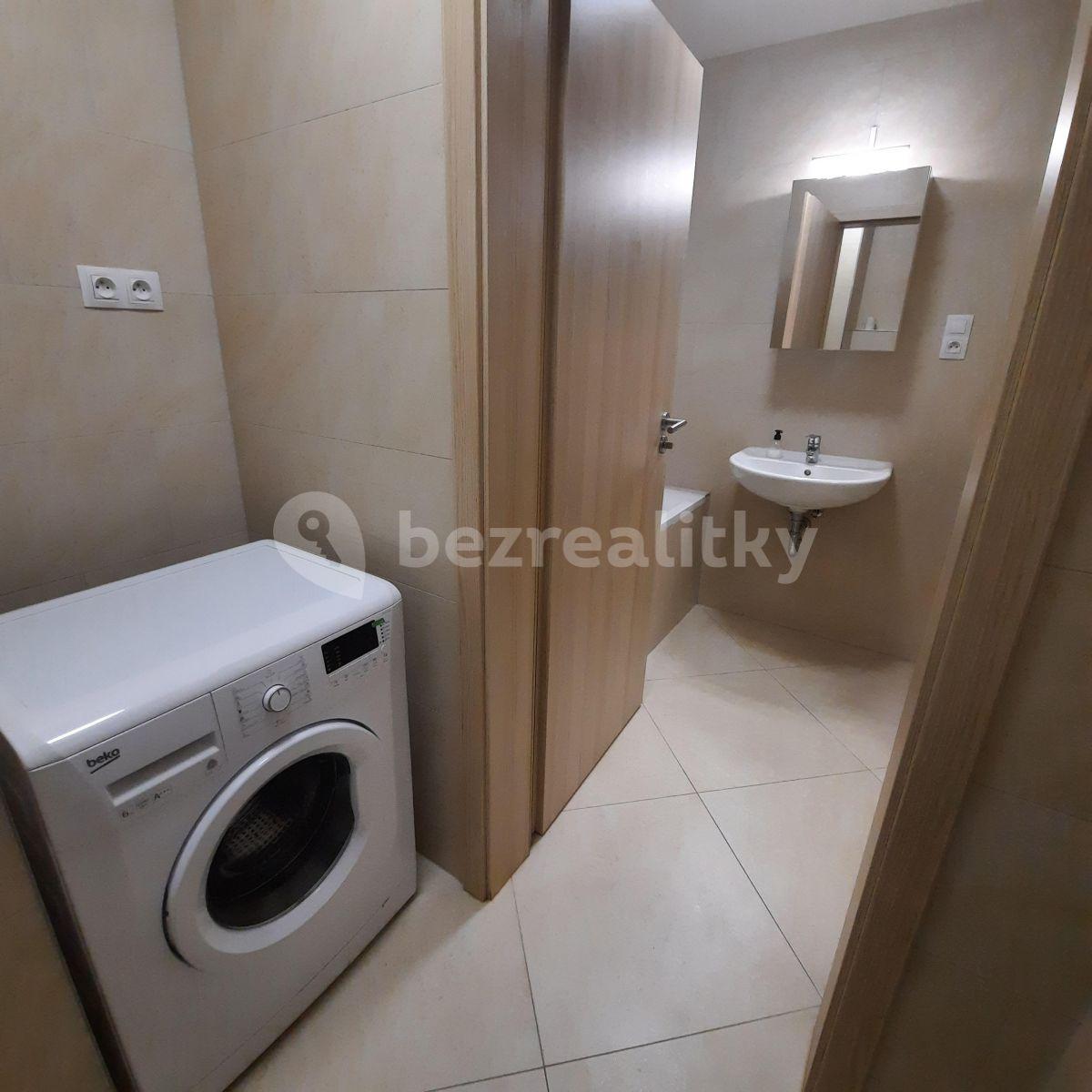 1 bedroom with open-plan kitchen flat to rent, 57 m², Sazovická, Prague, Prague