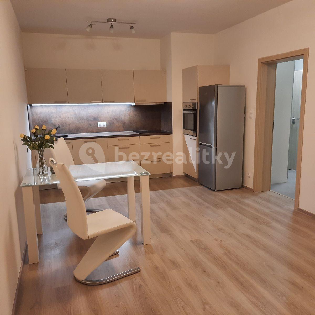 1 bedroom with open-plan kitchen flat to rent, 57 m², Sazovická, Prague, Prague