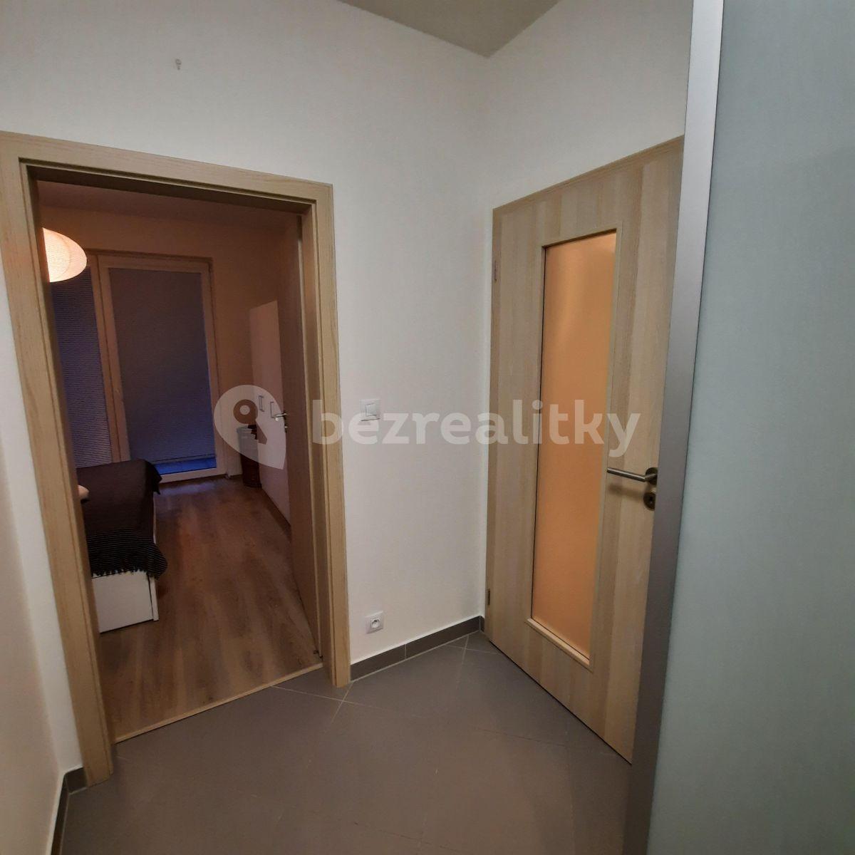 1 bedroom with open-plan kitchen flat to rent, 57 m², Sazovická, Prague, Prague