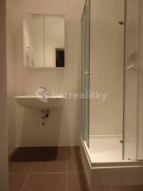 1 bedroom with open-plan kitchen flat to rent, 42 m², Janovského, Prague, Prague