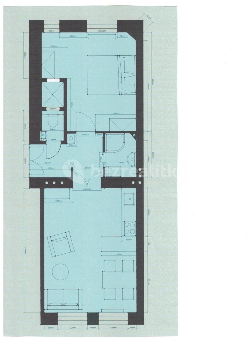 1 bedroom with open-plan kitchen flat to rent, 42 m², Janovského, Prague, Prague