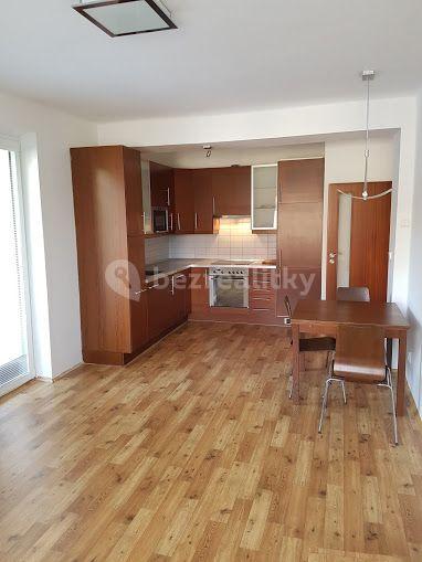2 bedroom with open-plan kitchen flat to rent, 56 m², Nad Zlíchovem, Prague, Prague