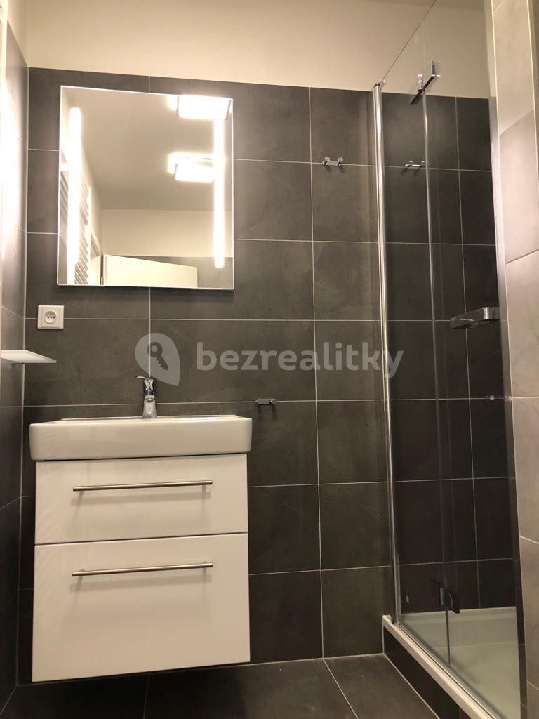 Studio flat to rent, 52 m², Bořivojova, Prague, Prague