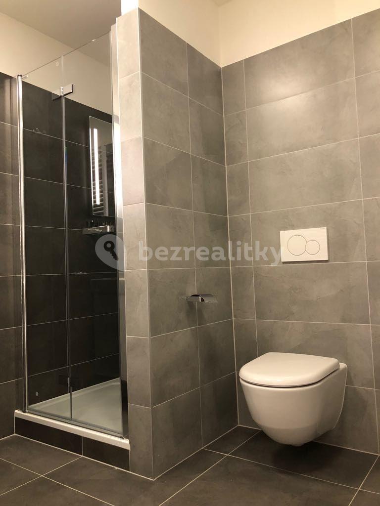 Studio flat to rent, 52 m², Bořivojova, Prague, Prague