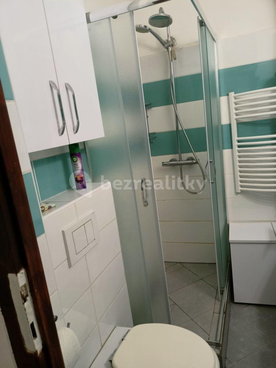 2 bedroom flat to rent, 47 m², Spolupráce, Prague, Prague