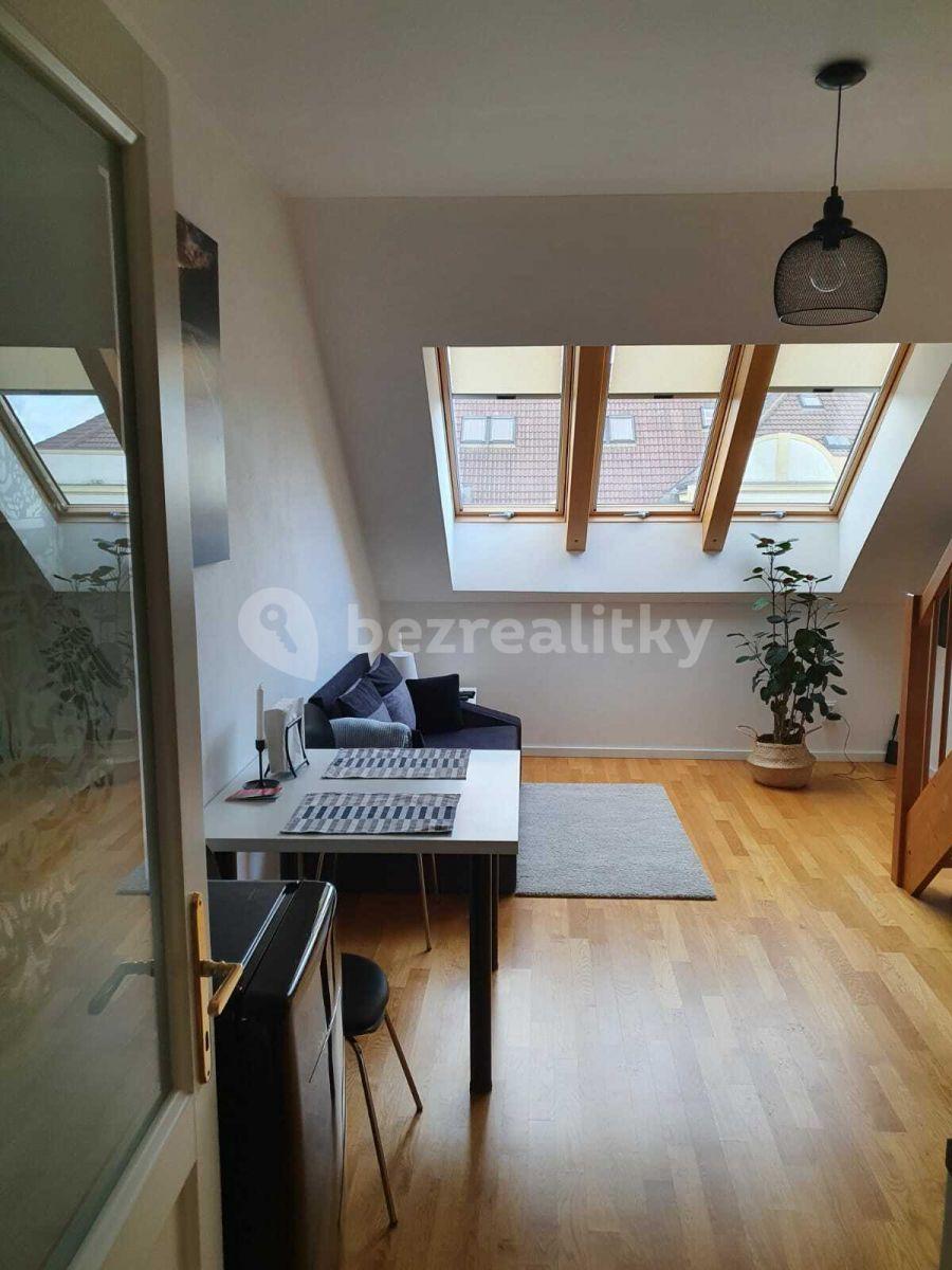 1 bedroom with open-plan kitchen flat to rent, 50 m², Slavíkova, Prague, Prague