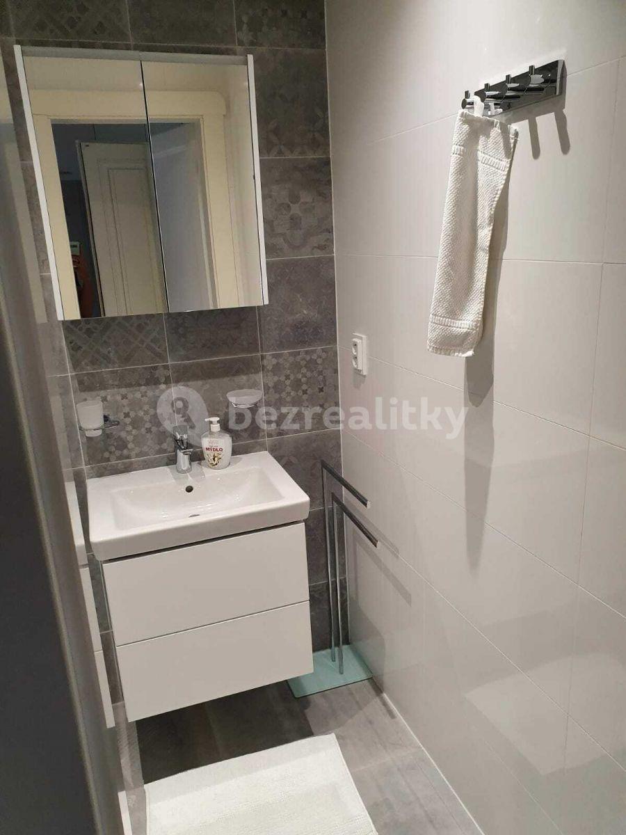 1 bedroom with open-plan kitchen flat to rent, 50 m², Slavíkova, Prague, Prague