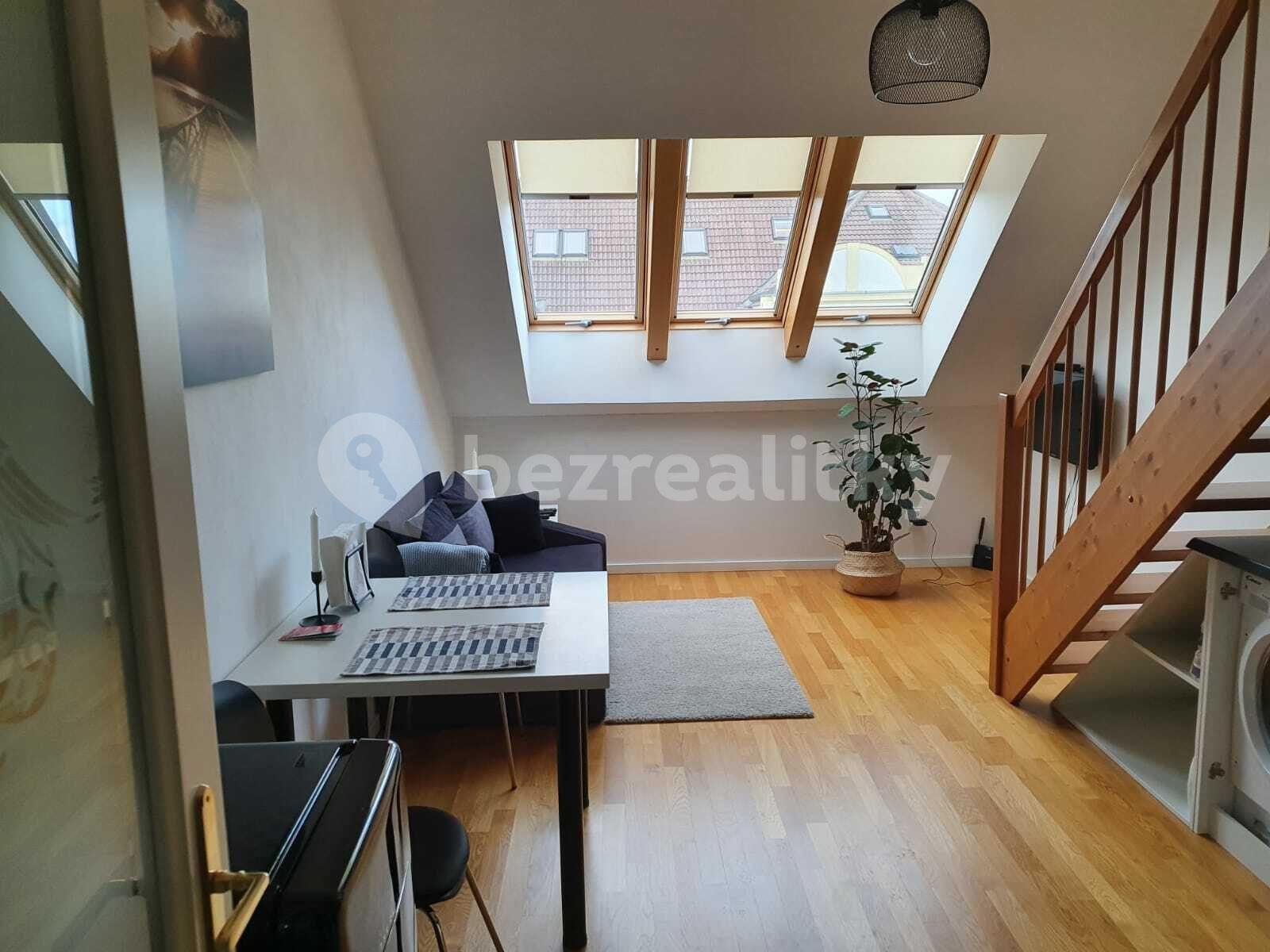 1 bedroom with open-plan kitchen flat to rent, 50 m², Slavíkova, Prague, Prague