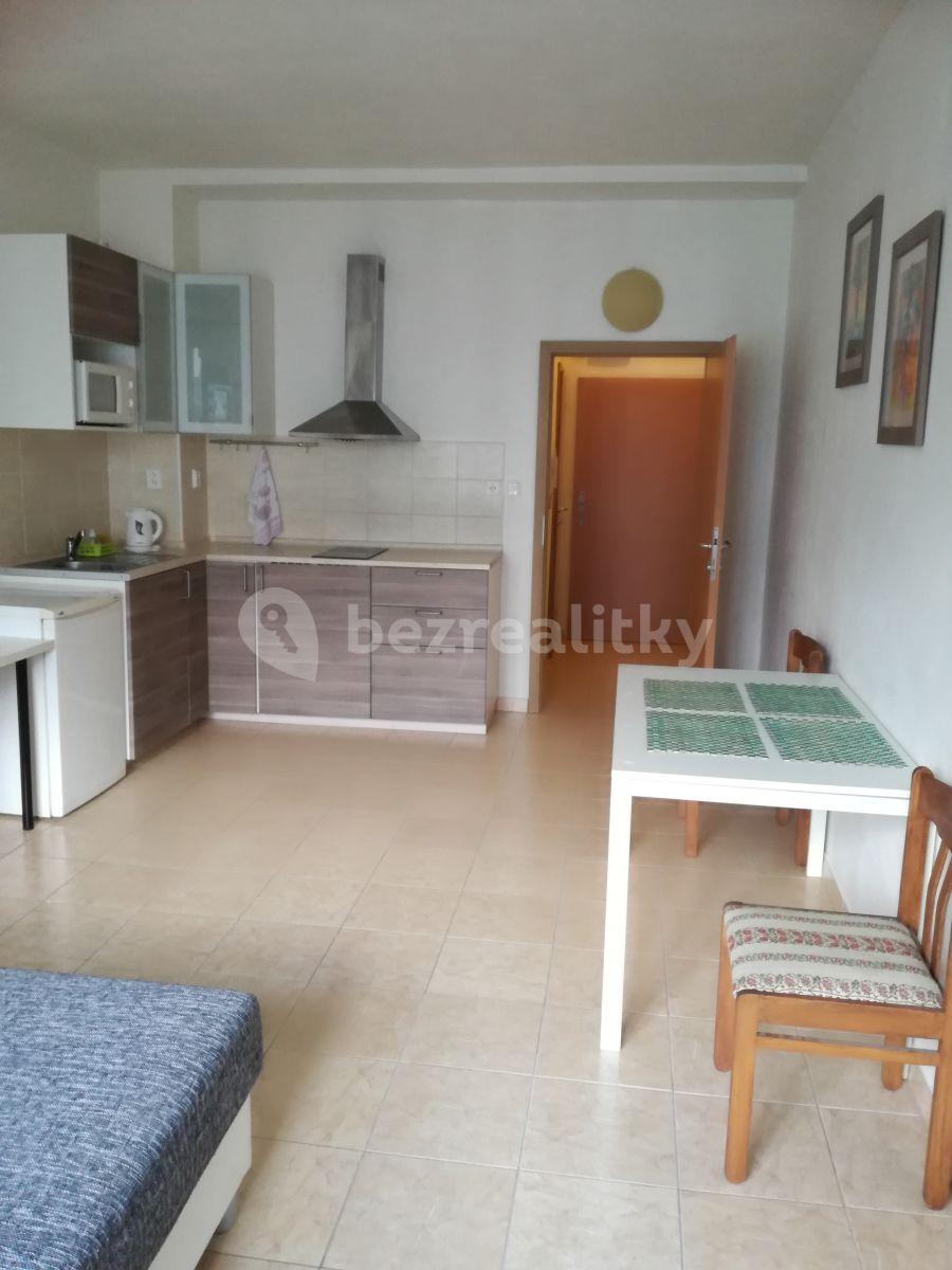 Studio flat to rent, 28 m², Jankovcova, Prague, Prague