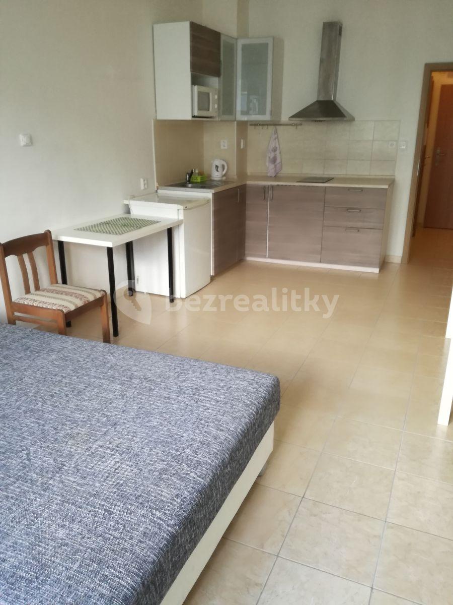 Studio flat to rent, 28 m², Jankovcova, Prague, Prague