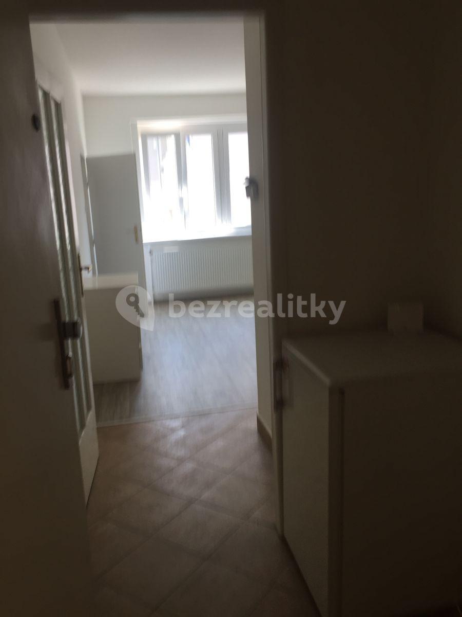 Studio flat to rent, 24 m², Sdružení, Prague, Prague