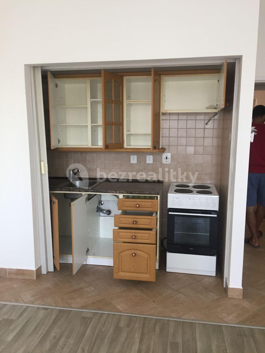 Studio flat to rent, 24 m², Sdružení, Prague, Prague