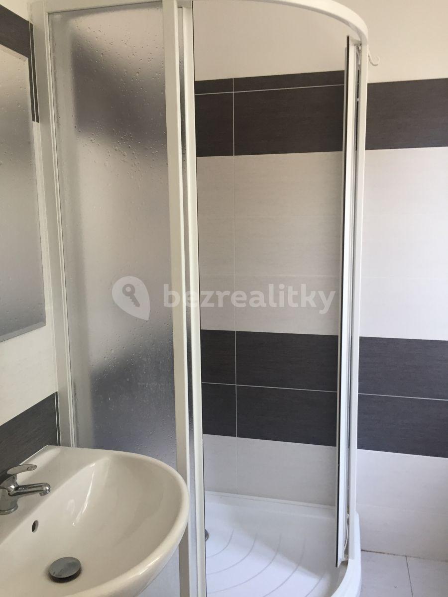 Studio flat to rent, 24 m², Sdružení, Prague, Prague