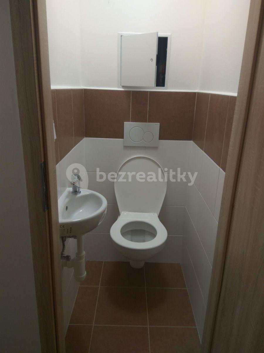 1 bedroom with open-plan kitchen flat to rent, 45 m², Za Parkem, Dobřichovice, Středočeský Region