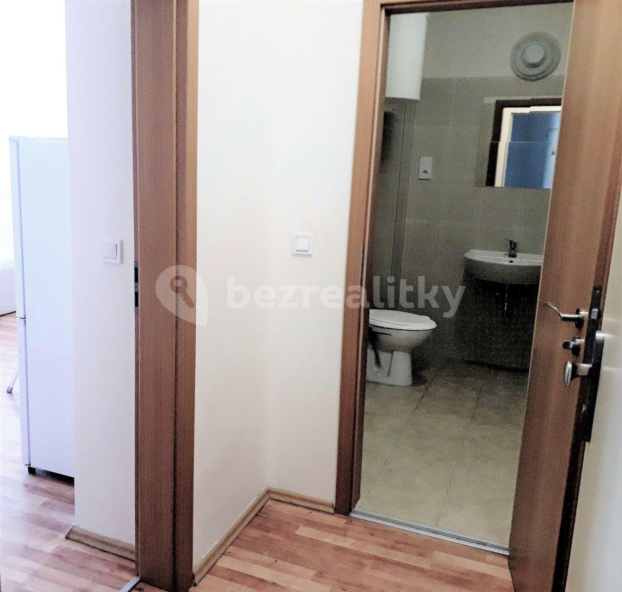 Studio flat to rent, 30 m², U Plynárny, Prague, Prague