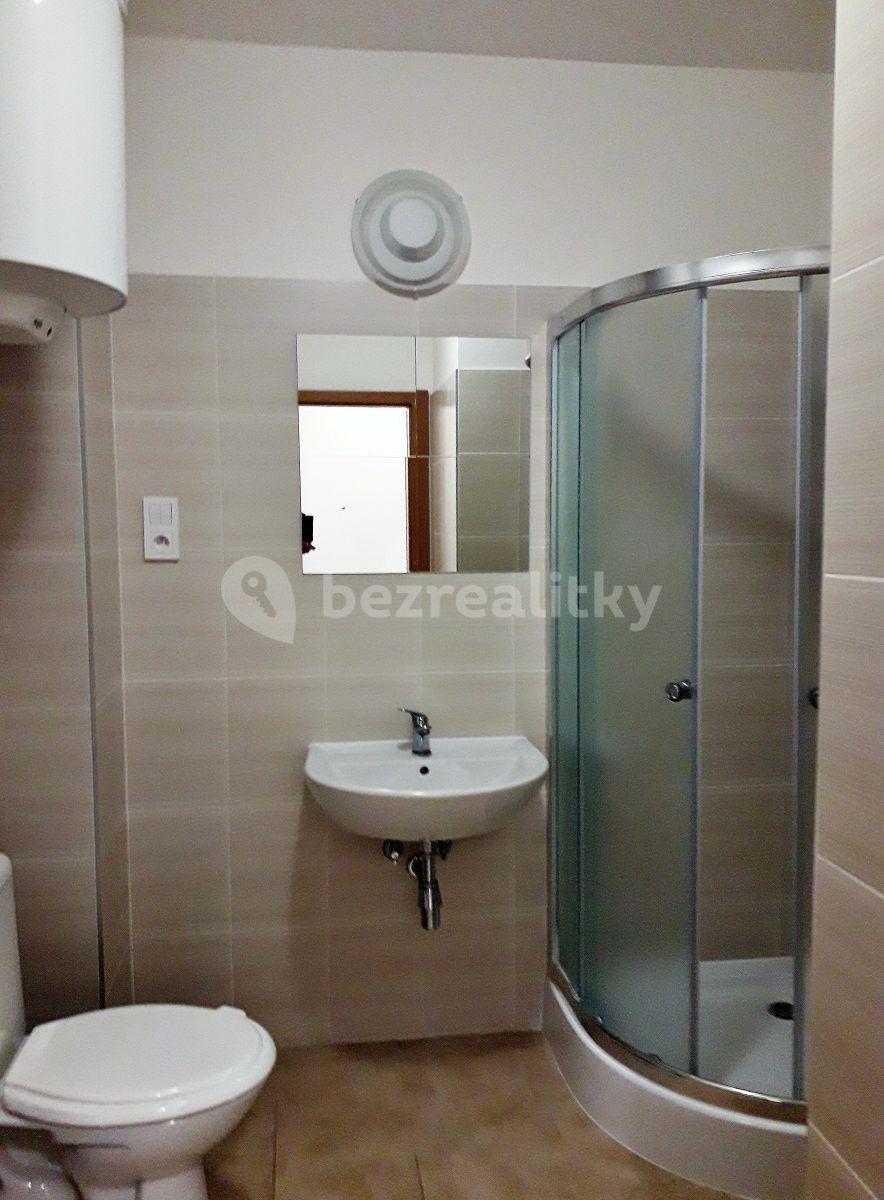 Studio flat to rent, 30 m², U Plynárny, Prague, Prague