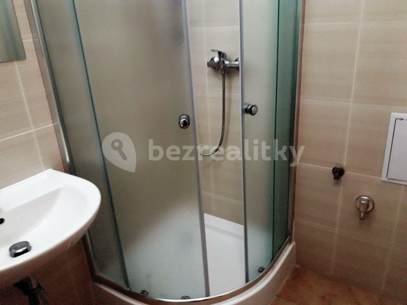 Studio flat to rent, 30 m², U Plynárny, Prague, Prague