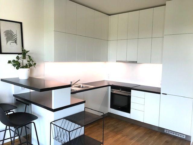 1 bedroom with open-plan kitchen flat to rent, 58 m², Sanderova, Prague, Prague