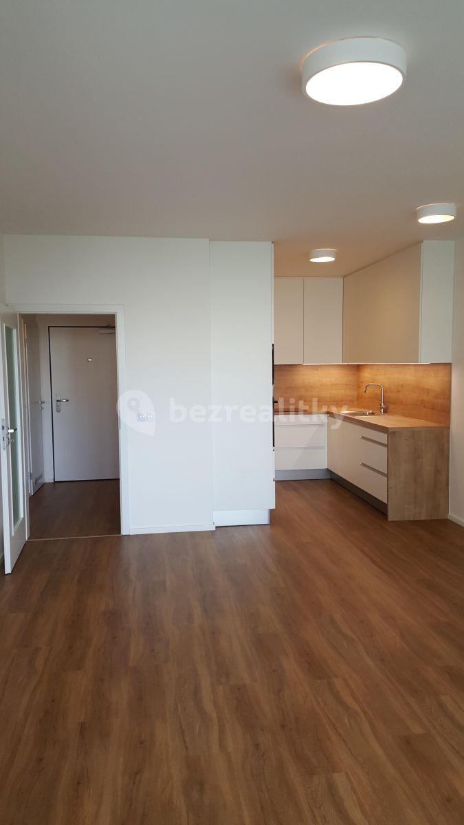 1 bedroom with open-plan kitchen flat to rent, 57 m², Nekvasilova, Prague, Prague