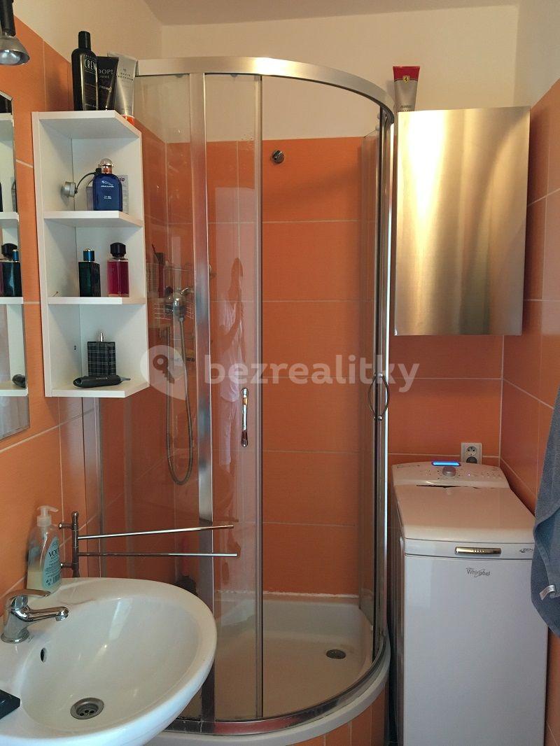 1 bedroom with open-plan kitchen flat to rent, 41 m², Kostřínská, Prague, Prague