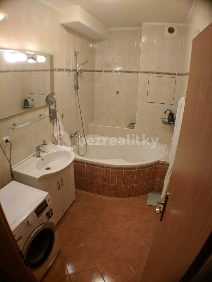 1 bedroom with open-plan kitchen flat to rent, 53 m², Trýbova, Brno, Jihomoravský Region