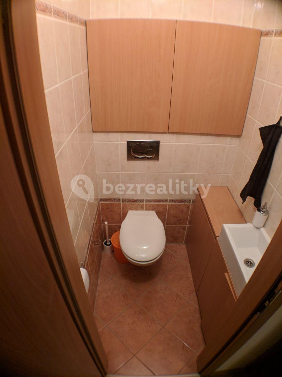 1 bedroom with open-plan kitchen flat to rent, 53 m², Trýbova, Brno, Jihomoravský Region