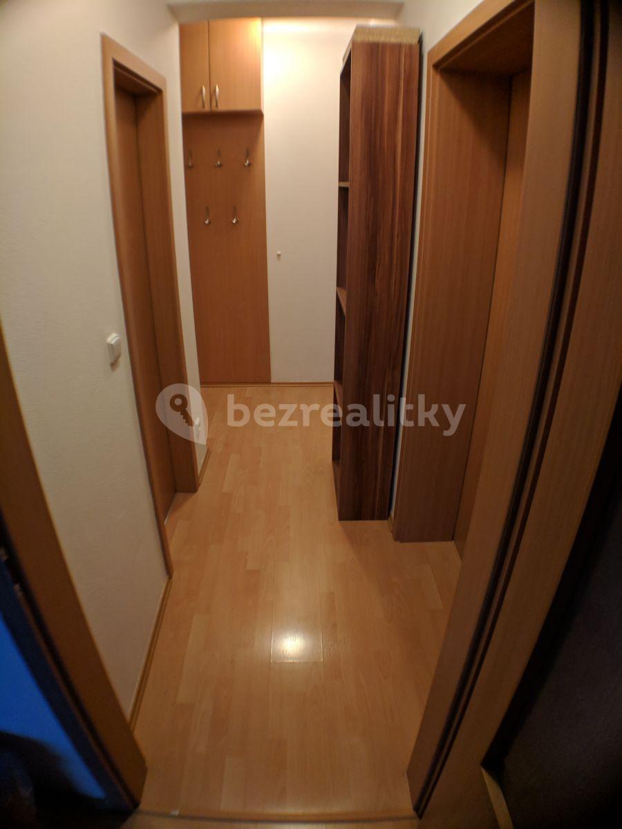 1 bedroom with open-plan kitchen flat to rent, 53 m², Trýbova, Brno, Jihomoravský Region