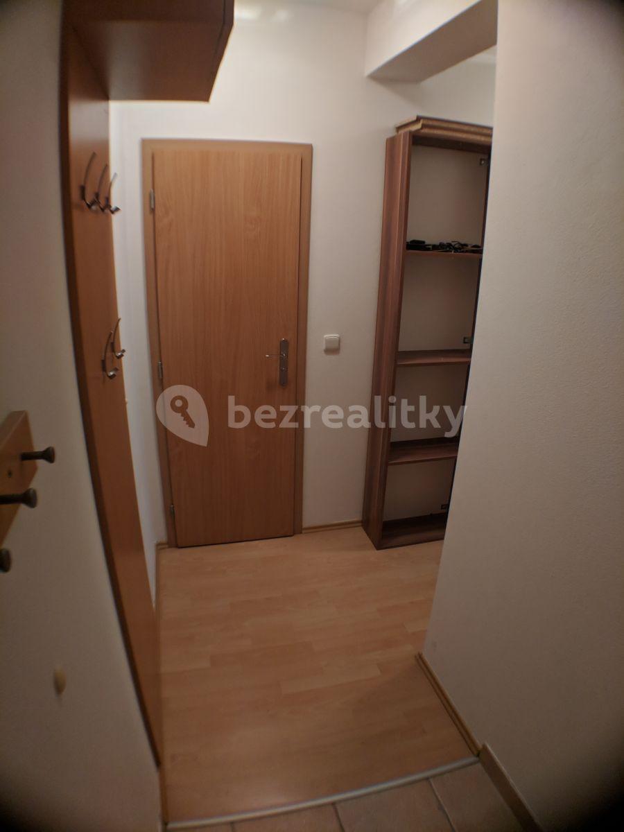 1 bedroom with open-plan kitchen flat to rent, 53 m², Trýbova, Brno, Jihomoravský Region