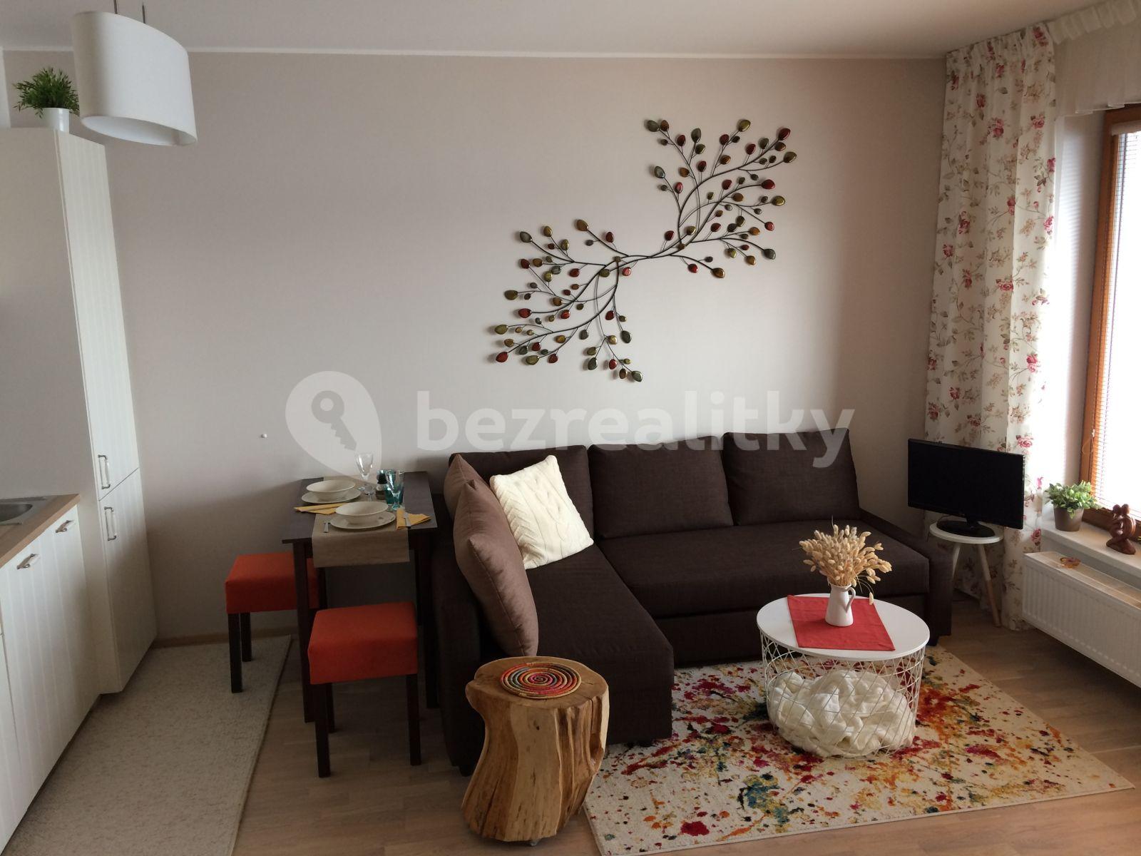 Studio flat to rent, 34 m², Plzeňská, Prague, Prague