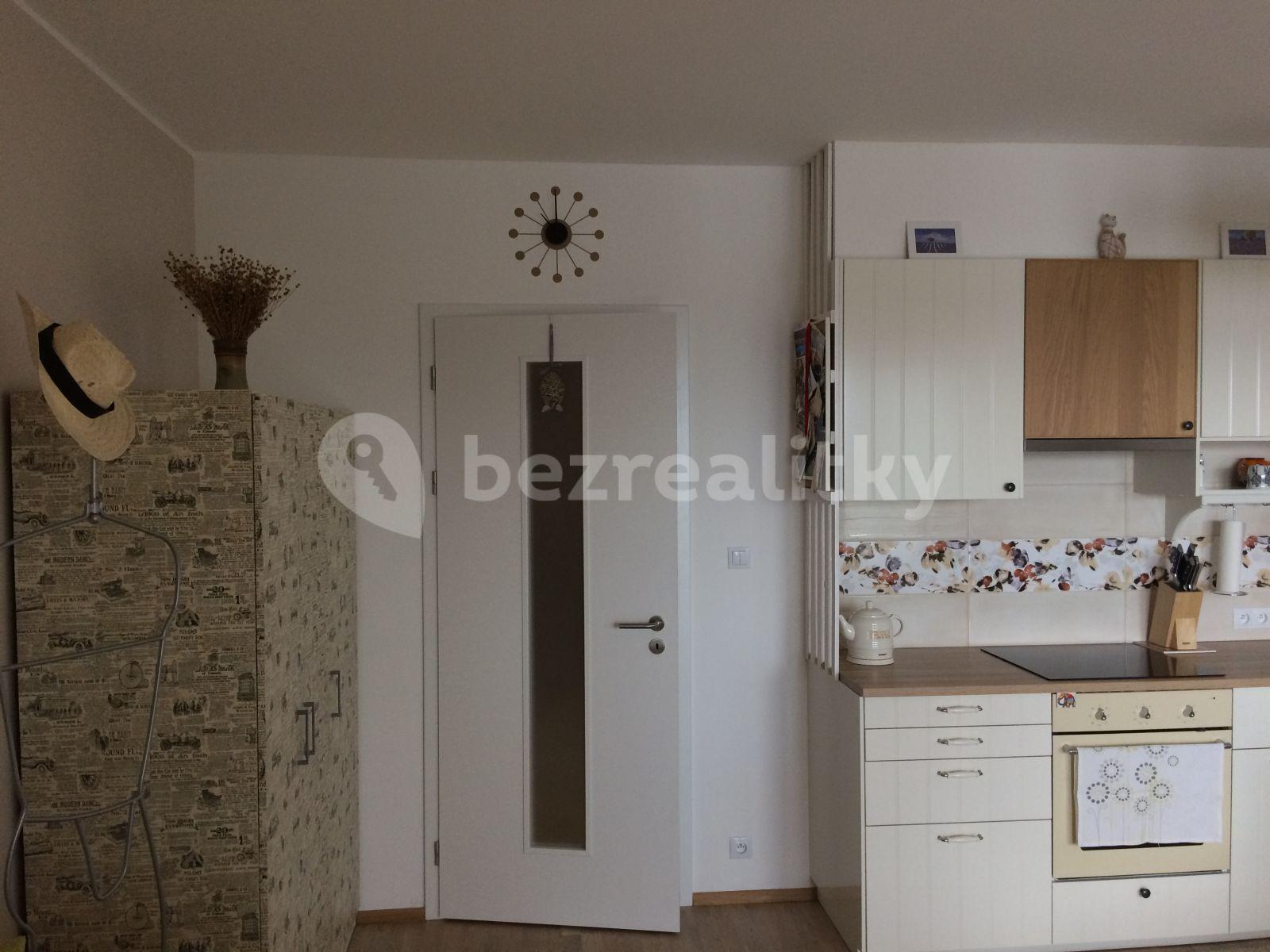 Studio flat to rent, 34 m², Plzeňská, Prague, Prague