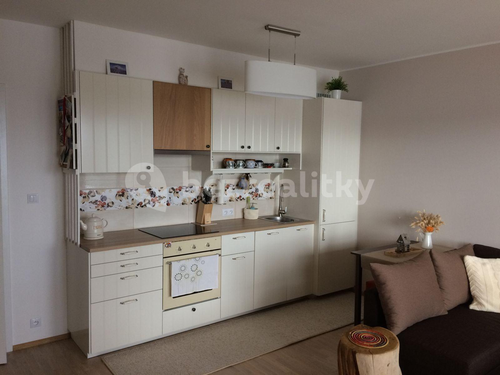 Studio flat to rent, 34 m², Plzeňská, Prague, Prague