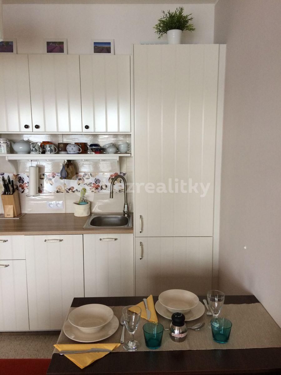 Studio flat to rent, 34 m², Plzeňská, Prague, Prague