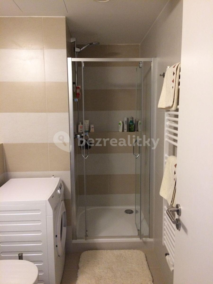 Studio flat to rent, 34 m², Plzeňská, Prague, Prague