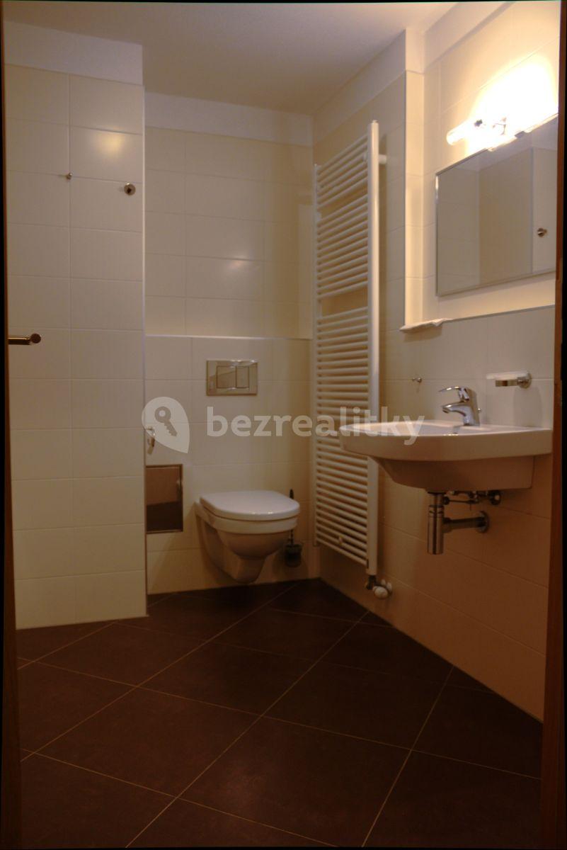 1 bedroom with open-plan kitchen flat to rent, 46 m², V Zářezu, Prague, Prague