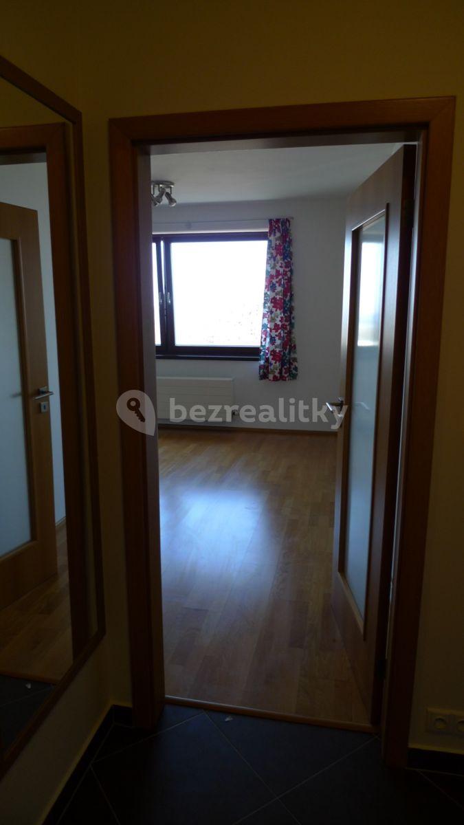 1 bedroom with open-plan kitchen flat to rent, 46 m², V Zářezu, Prague, Prague