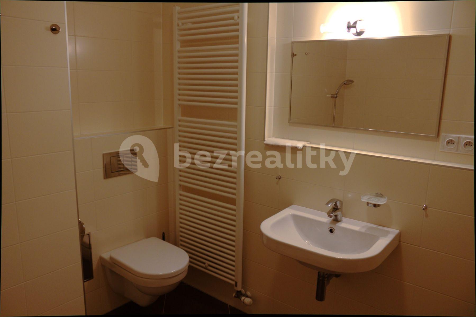 1 bedroom with open-plan kitchen flat to rent, 46 m², V Zářezu, Prague, Prague