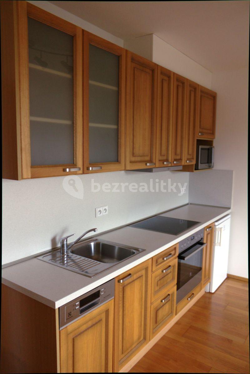 1 bedroom with open-plan kitchen flat to rent, 46 m², V Zářezu, Prague, Prague