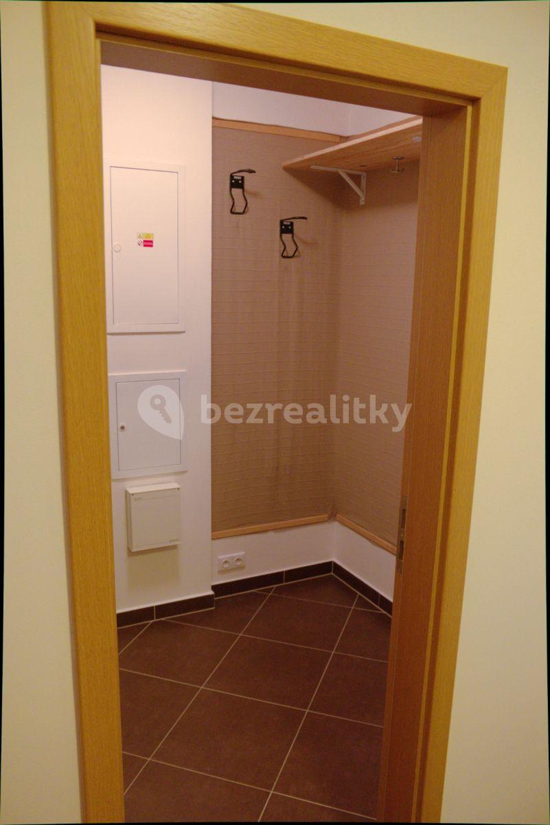 1 bedroom with open-plan kitchen flat to rent, 46 m², V Zářezu, Prague, Prague