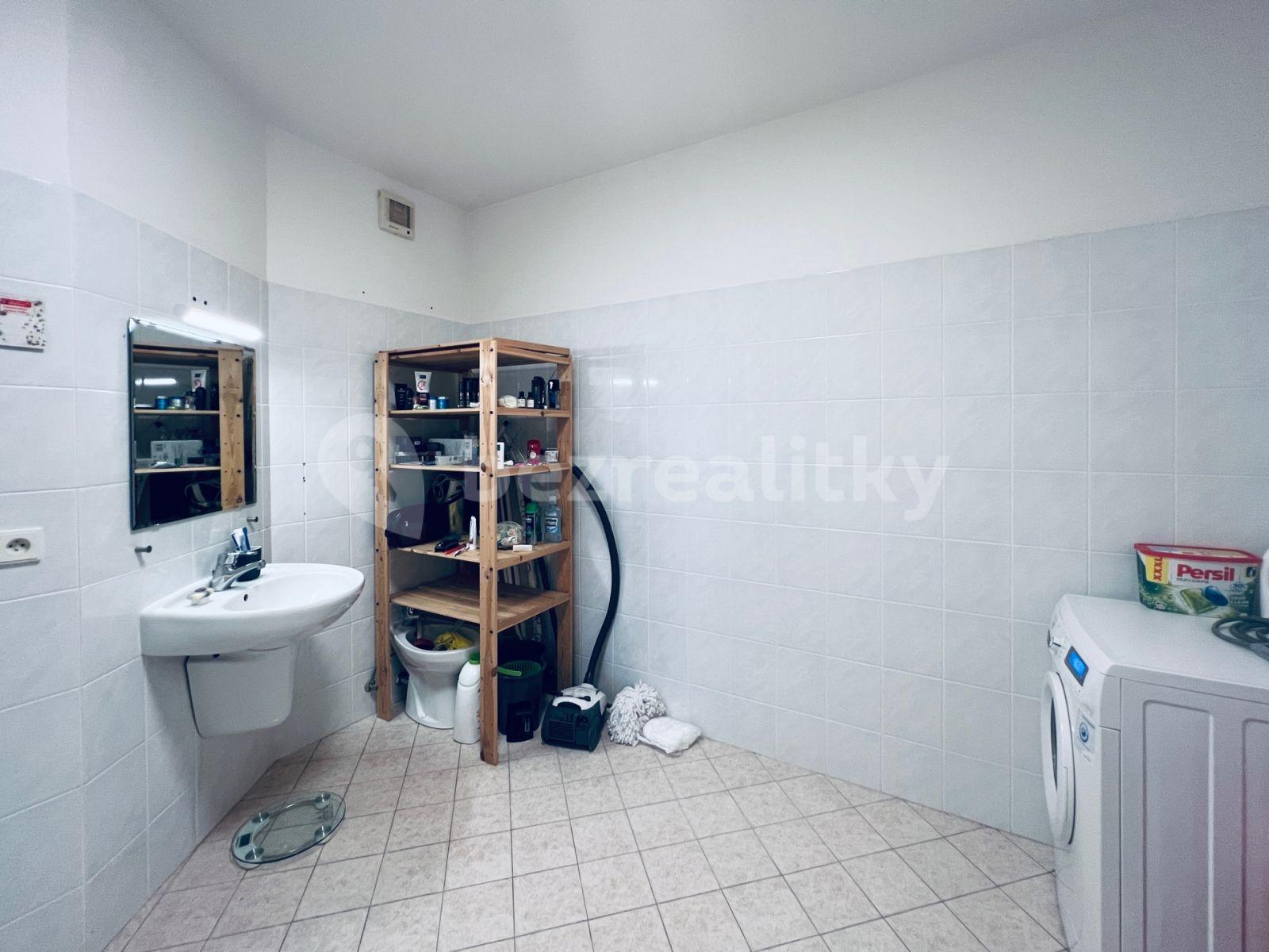 1 bedroom with open-plan kitchen flat to rent, 80 m², Musílkova, Prague, Prague